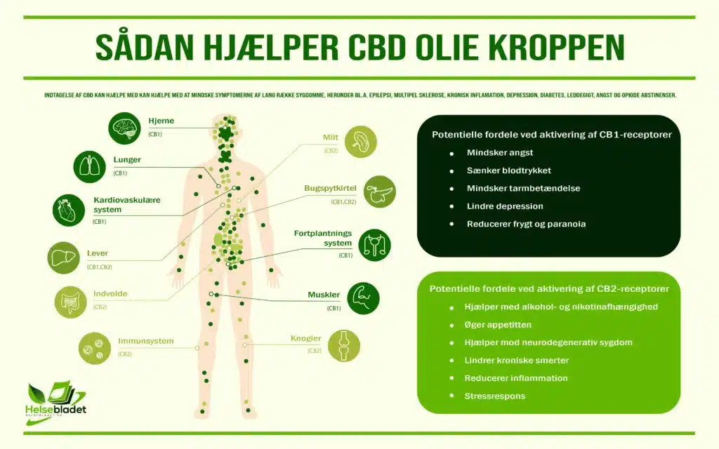 CBD E væske - infografik